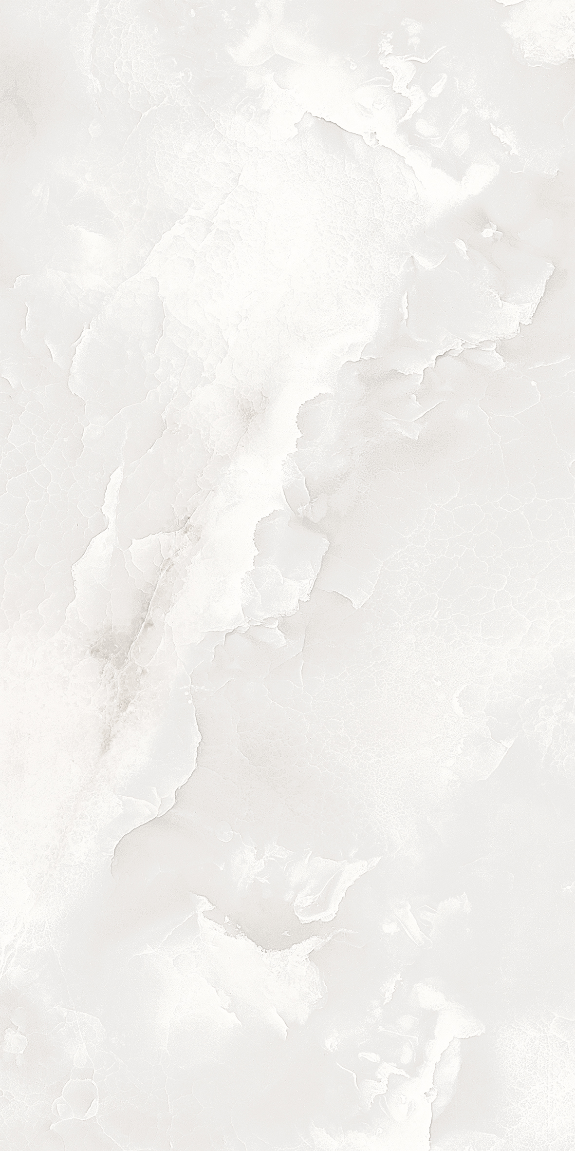 ELITE COLLECTION ELITE COLLECTION