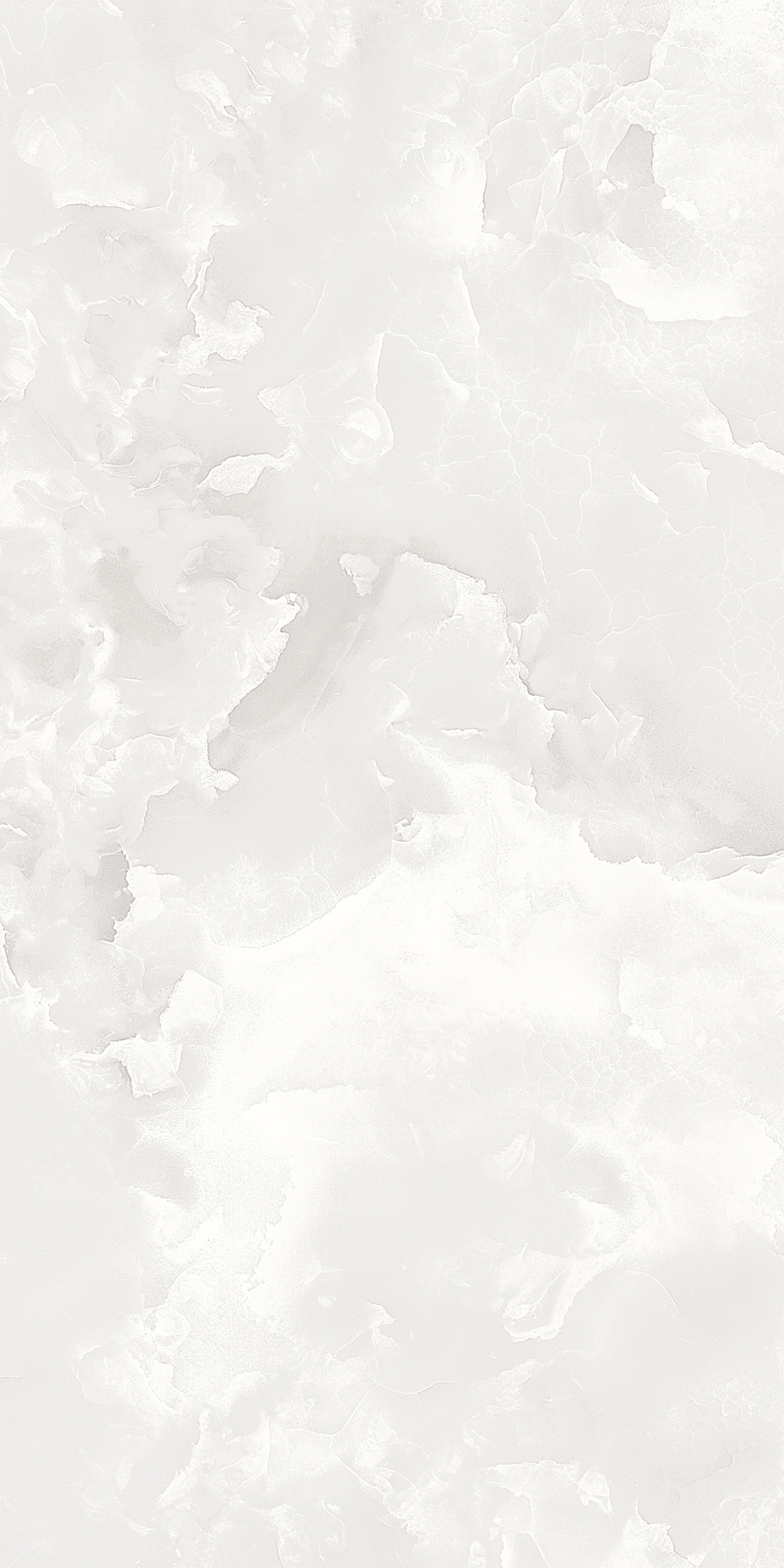 ELITE COLLECTION ELITE COLLECTION