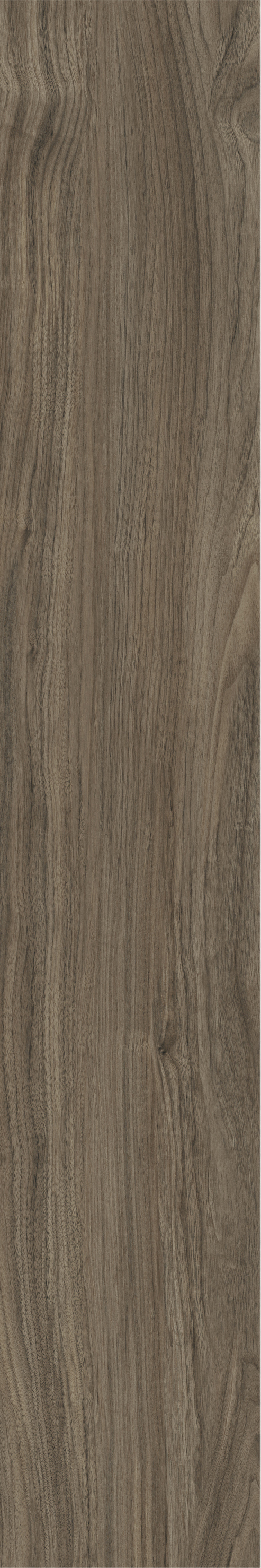 ATHENS WALNUT