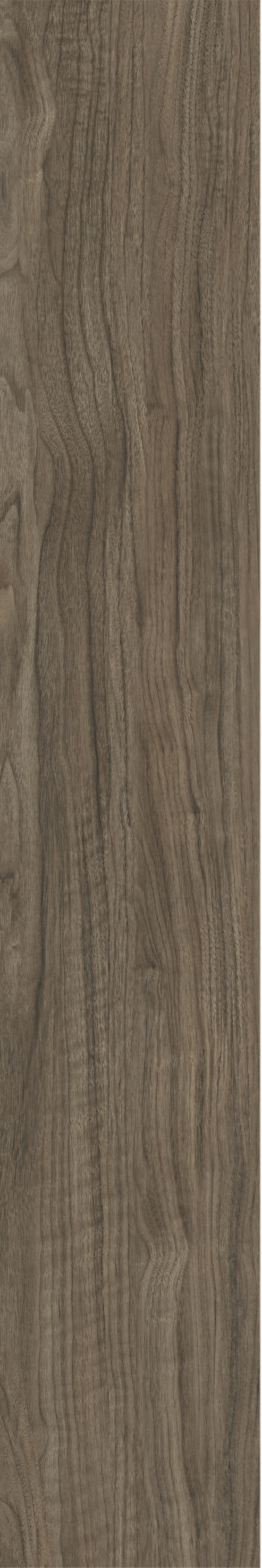 ATHENS WALNUT