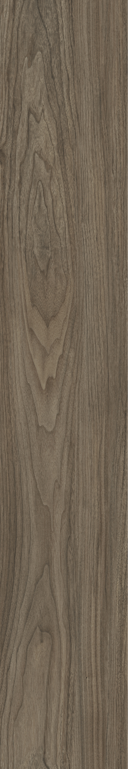 ATHENS WALNUT