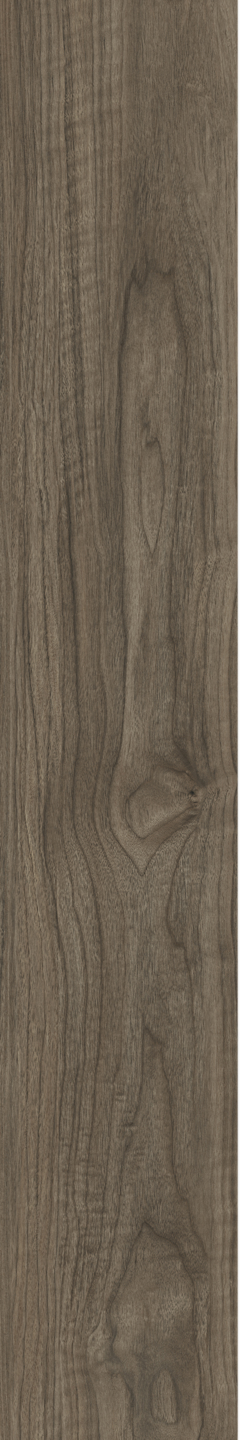 ATHENS WALNUT