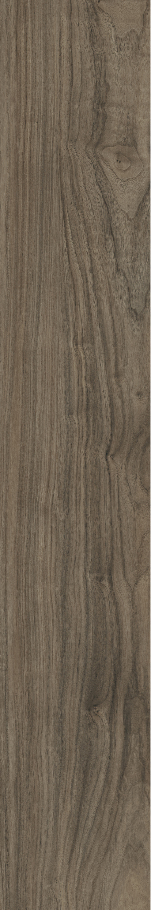 ATHENS WALNUT