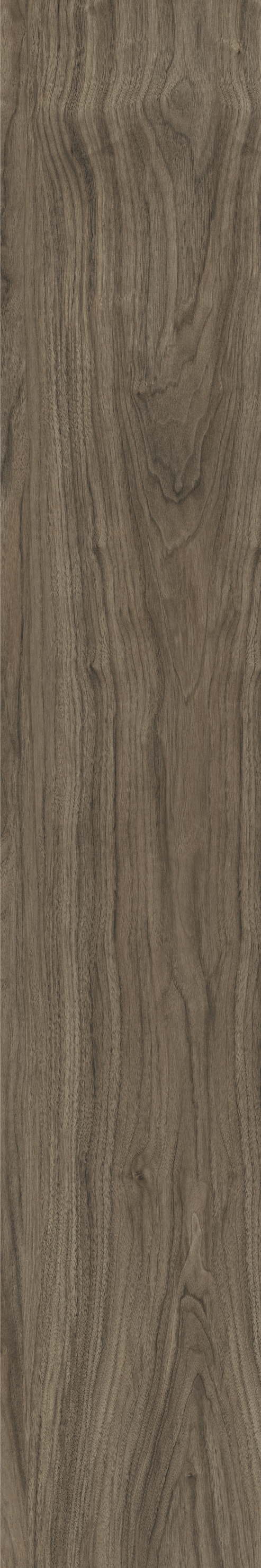 ATHENS WALNUT