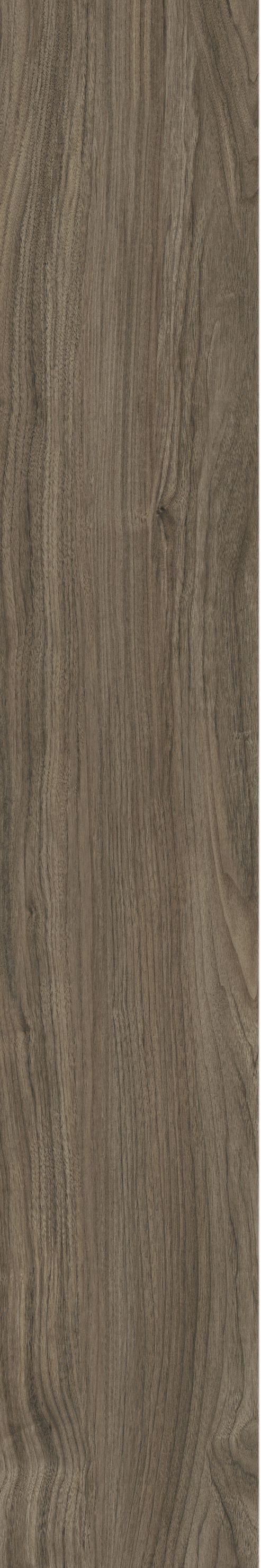 ATHENS WALNUT