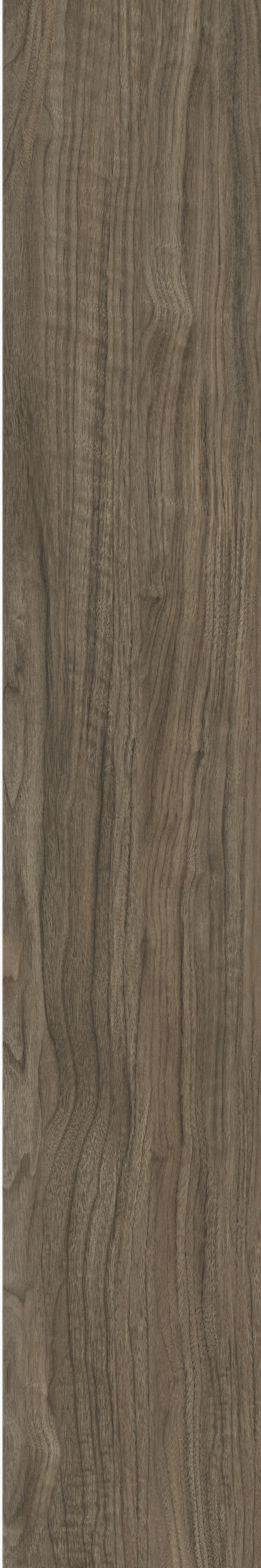 ATHENS WALNUT