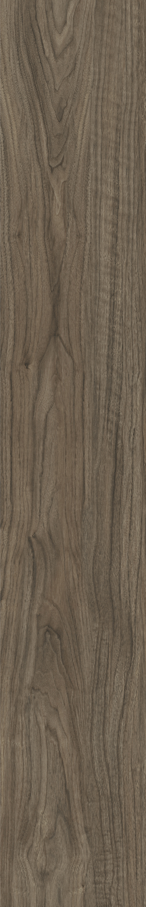 ATHENS WALNUT