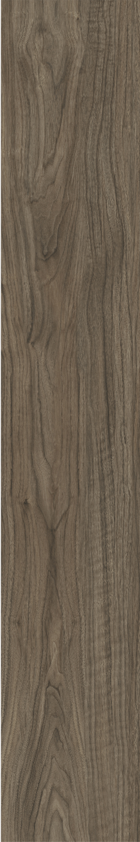ATHENS WALNUT