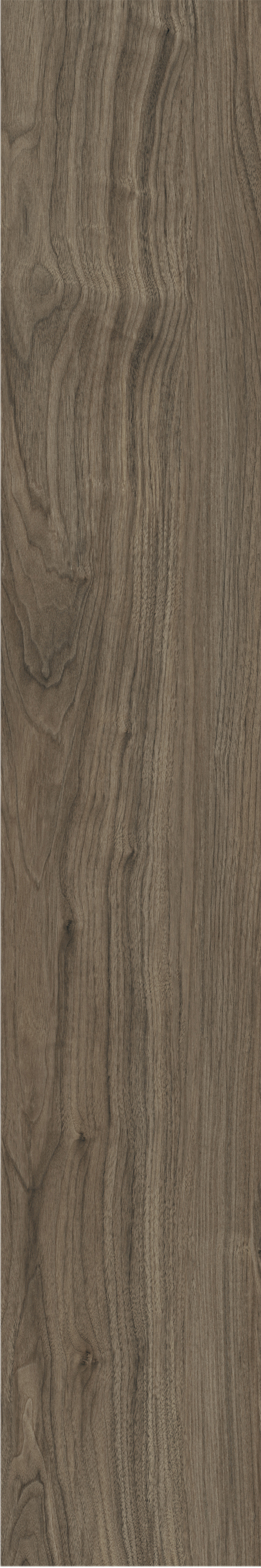 ATHENS WALNUT