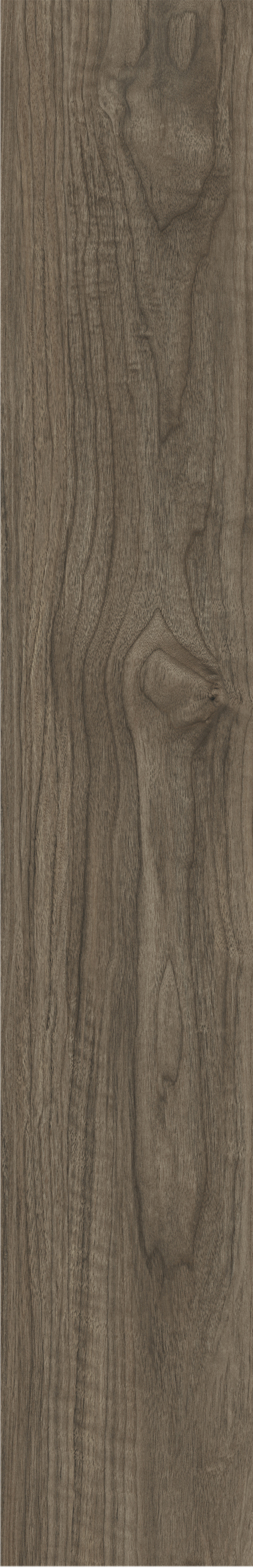 ATHENS WALNUT