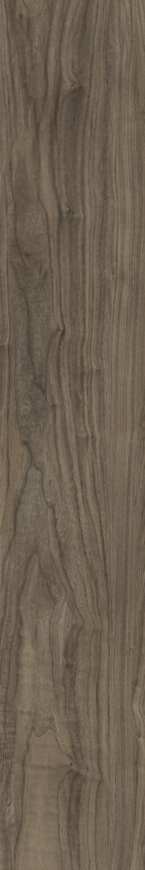 ATHENS WALNUT
