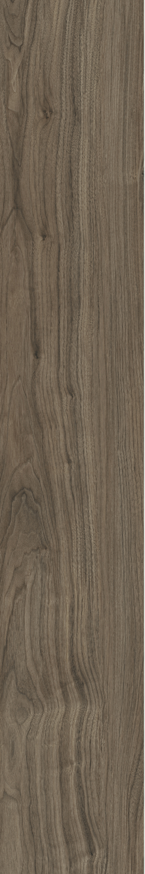 ATHENS WALNUT