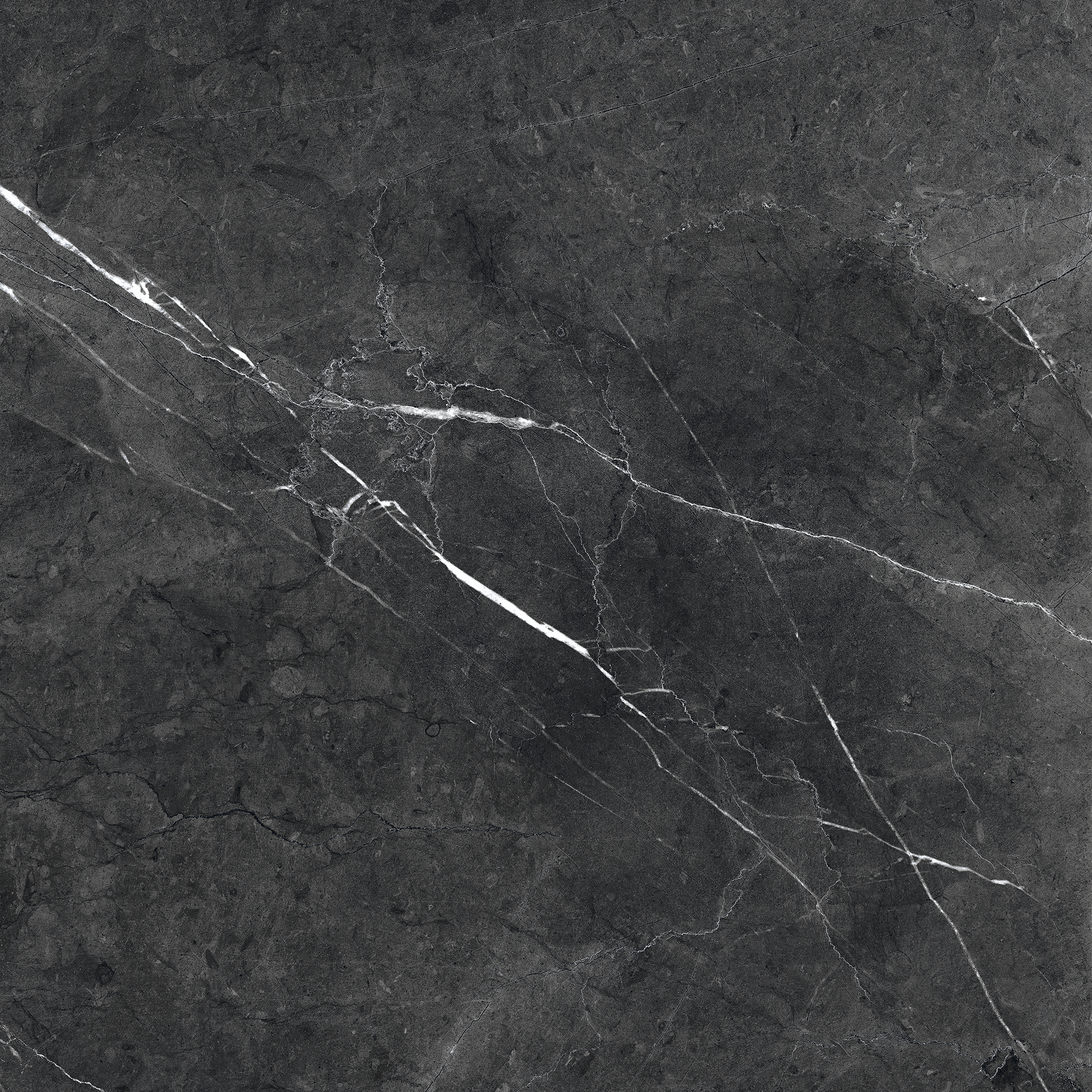 Antigua Nero Marquina Matte