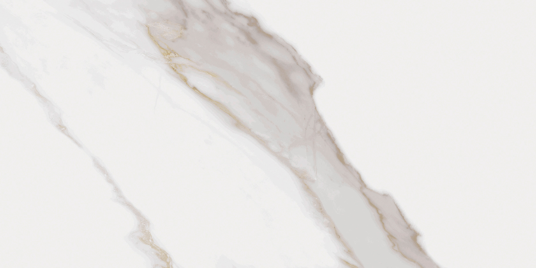 Noble Calacatta Gold Polished