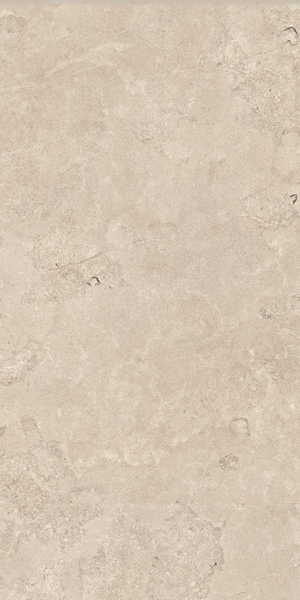 Fossil Ridge Ivory