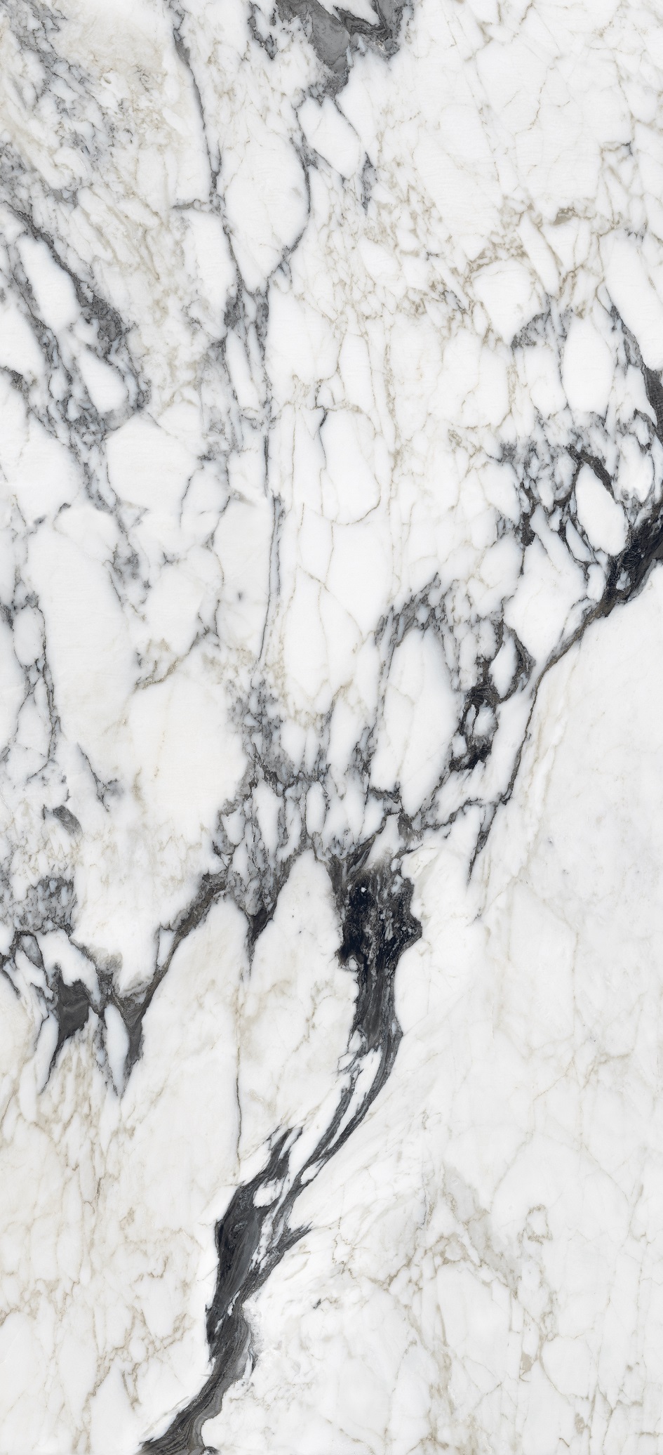 Timeless Stone Altissimo Polished 1/4"