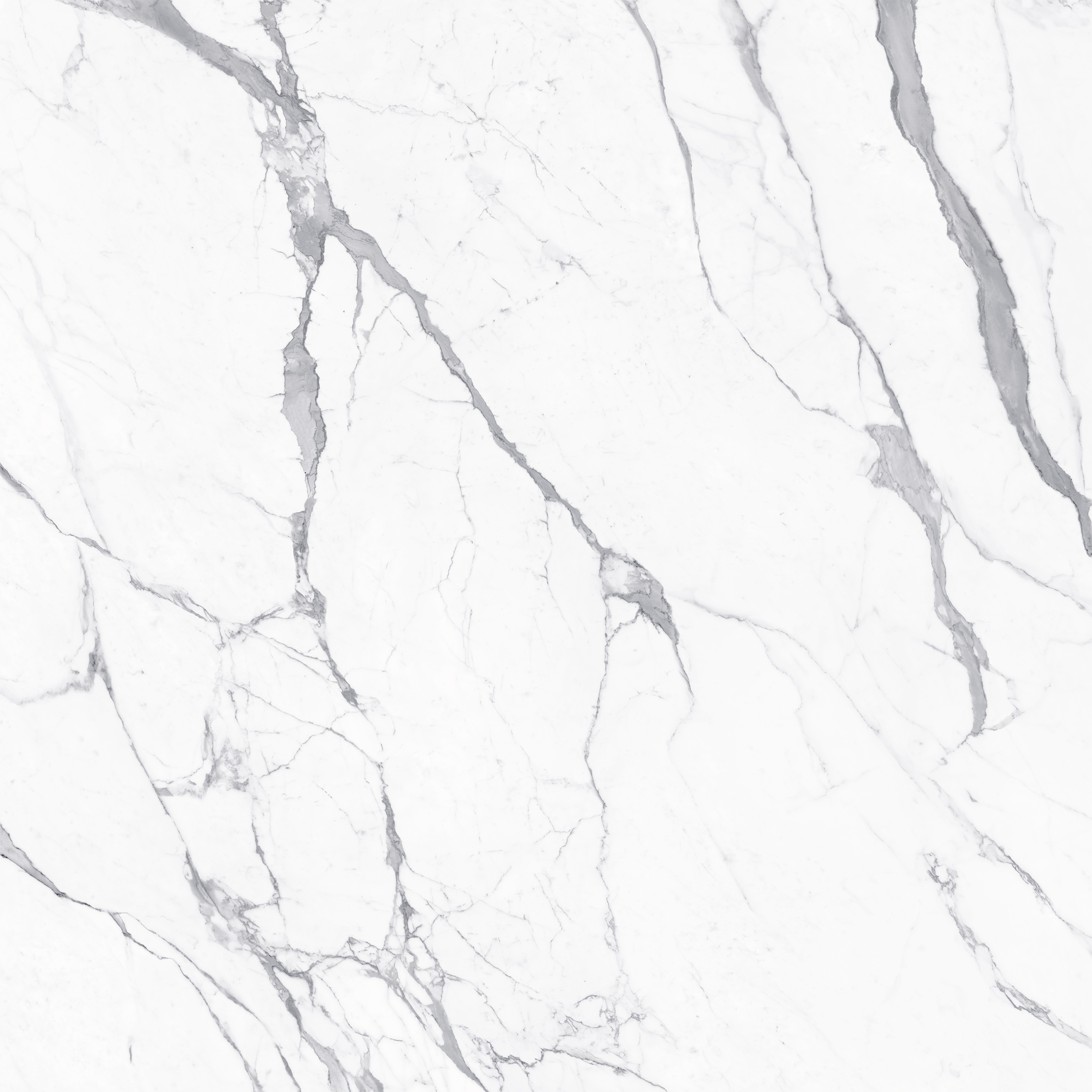 Venetto Statuario Polished