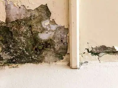 The Real Need For Kitchen Backsplash Tile